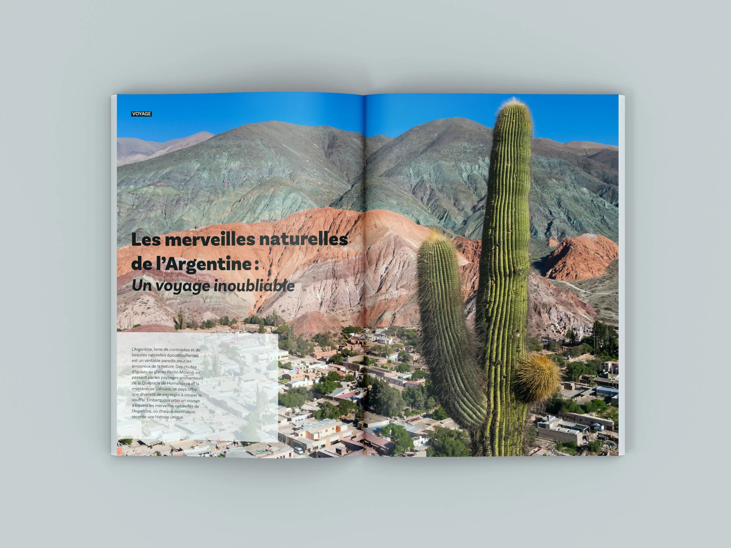 Magazine terre sauvage arg 1
