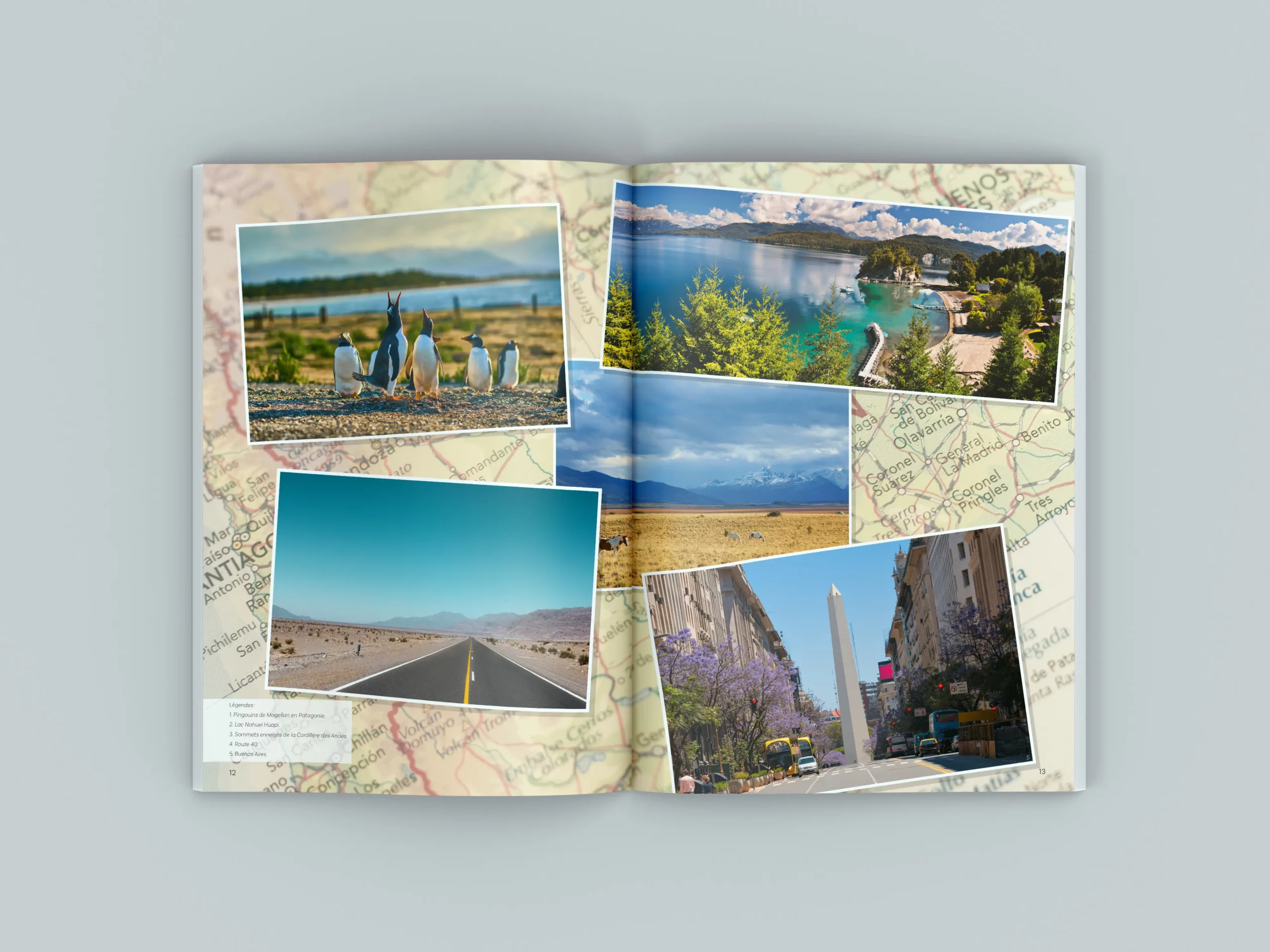 Magazine terre sauvage arg 4