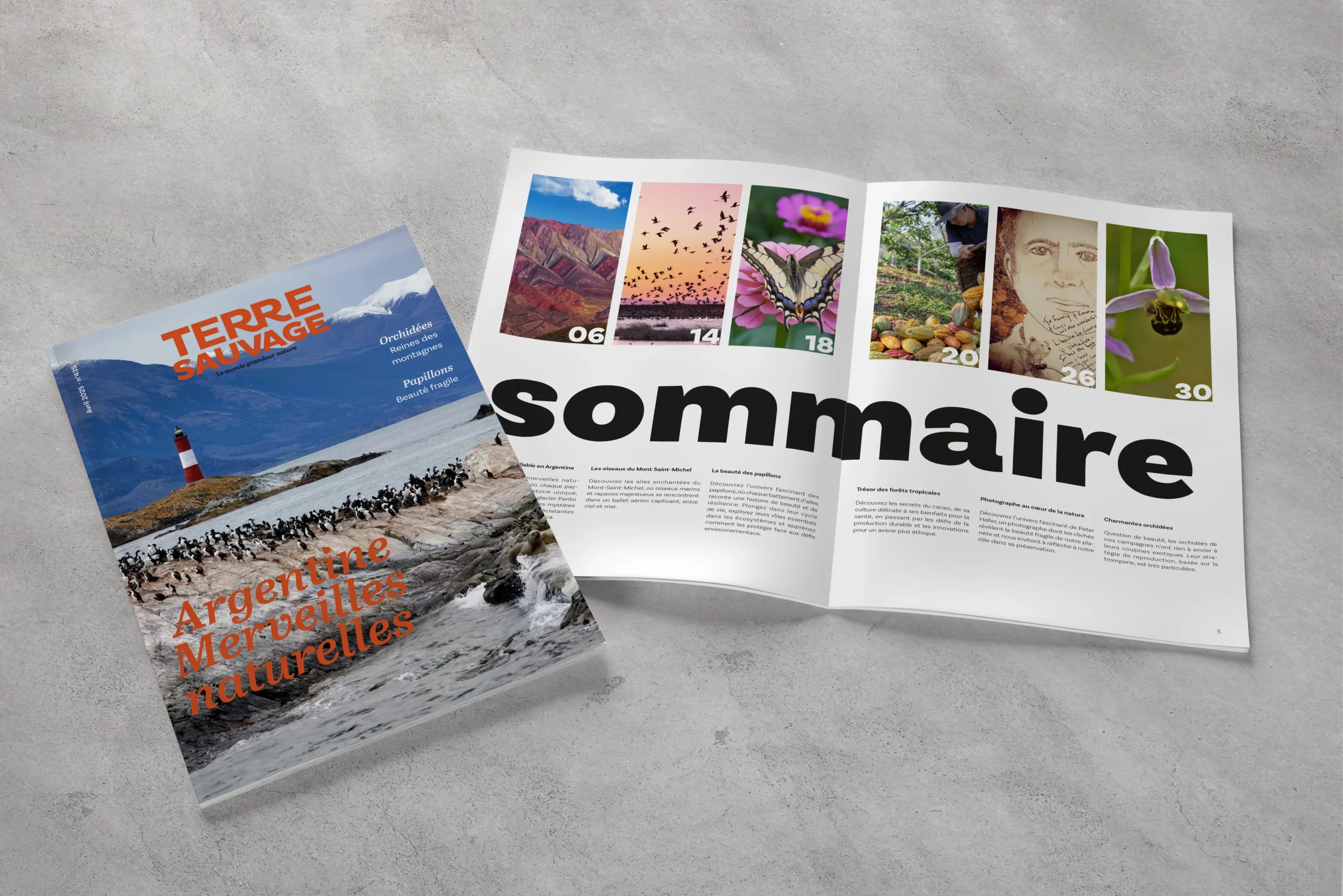 Magazine terre sauvage couv et sommaire