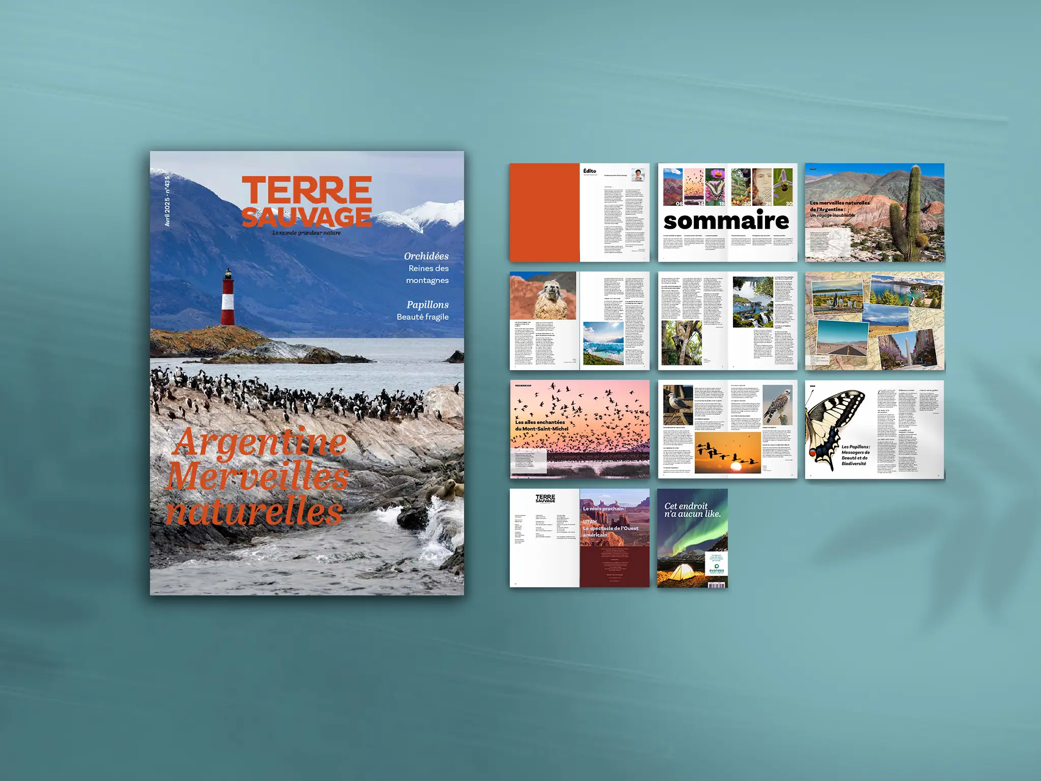 Magazine terre sauvage ensemble