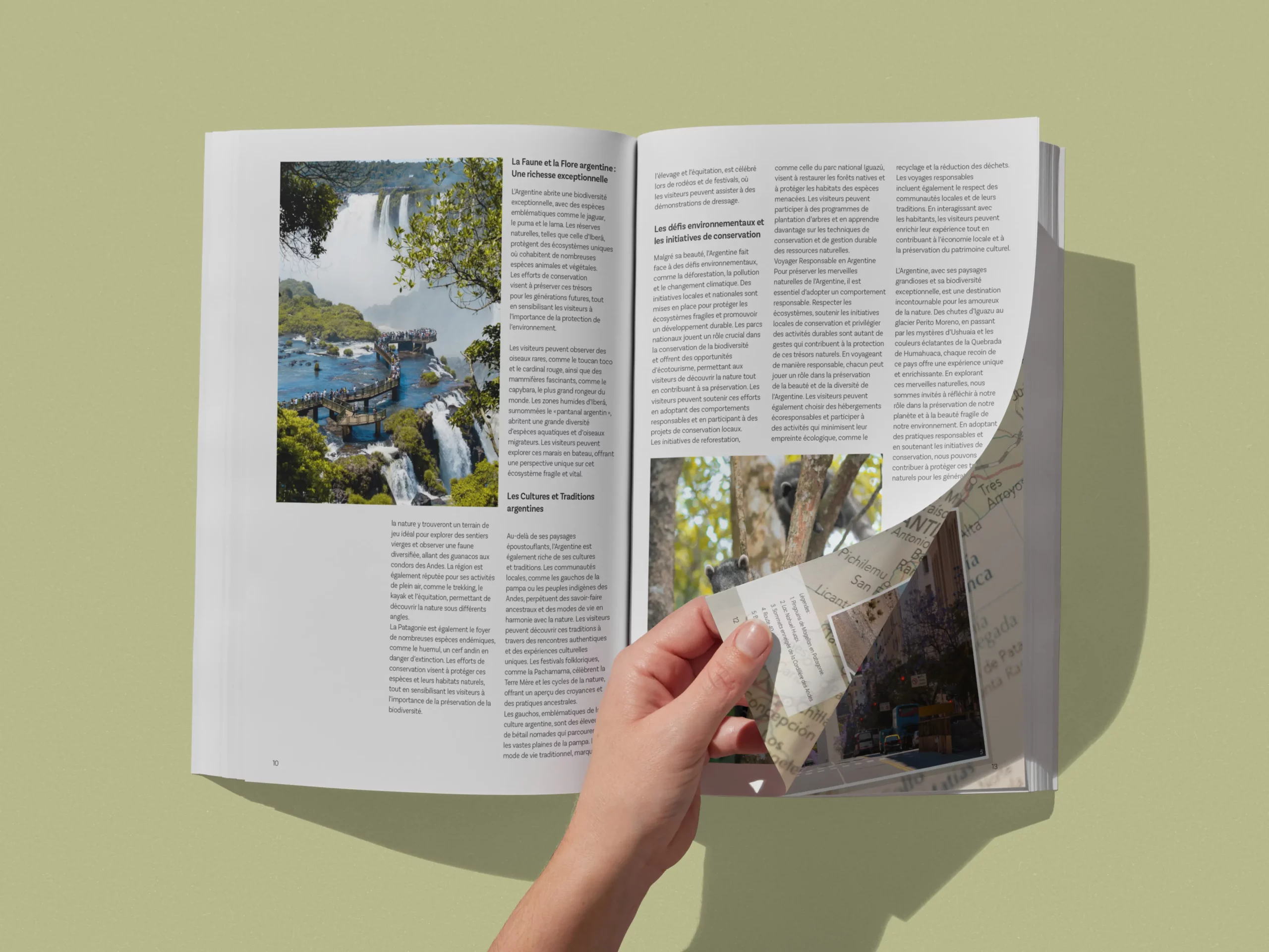 Magazine terre sauvage mockup 1