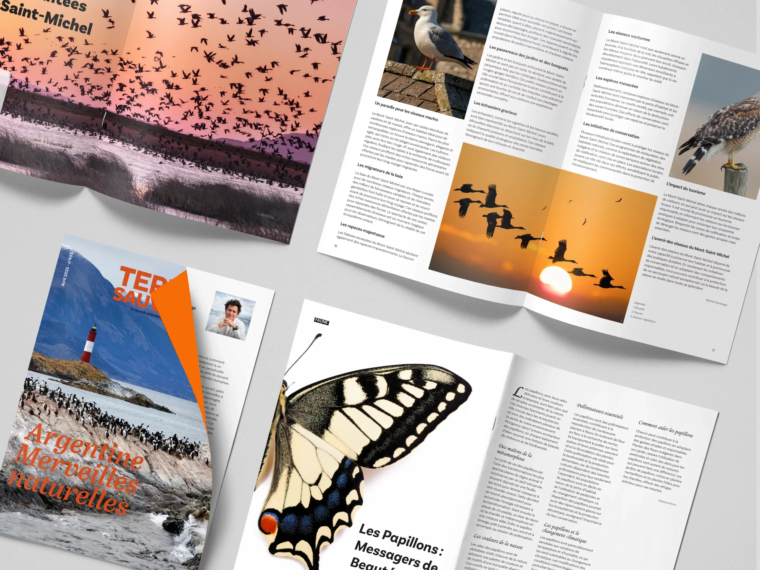Magazine terre sauvage mockup 2