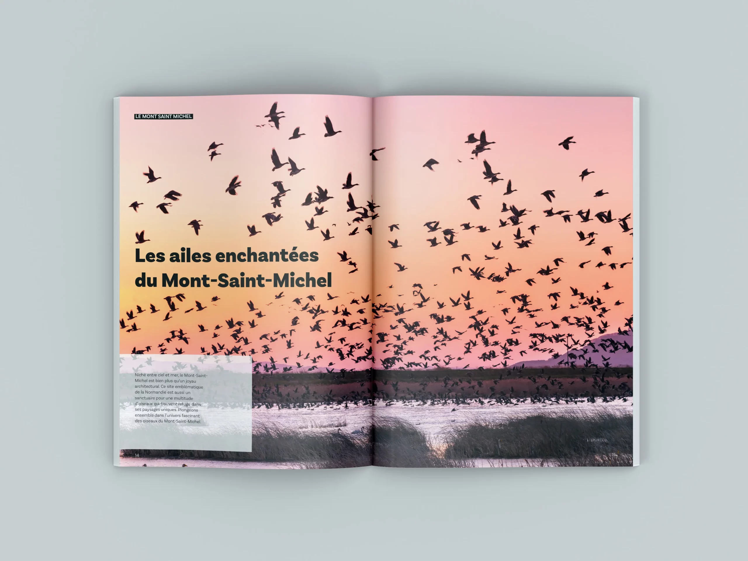 Magazine terre sauvage msm 1