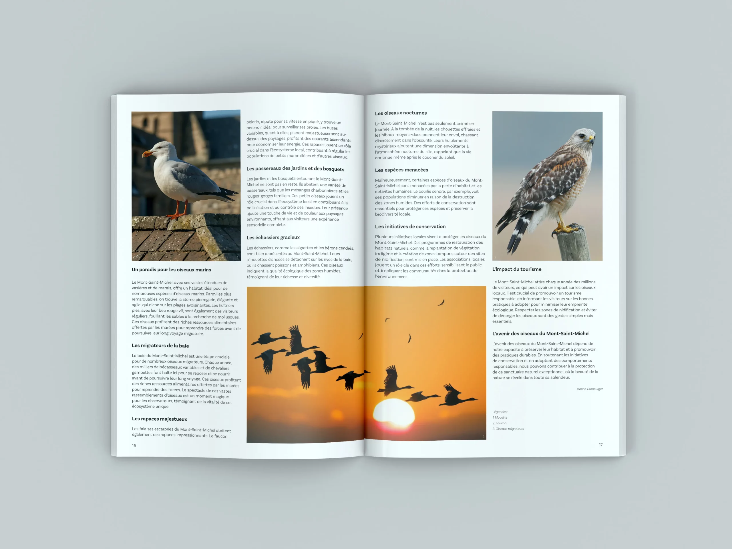 Magazine terre sauvage msm 2