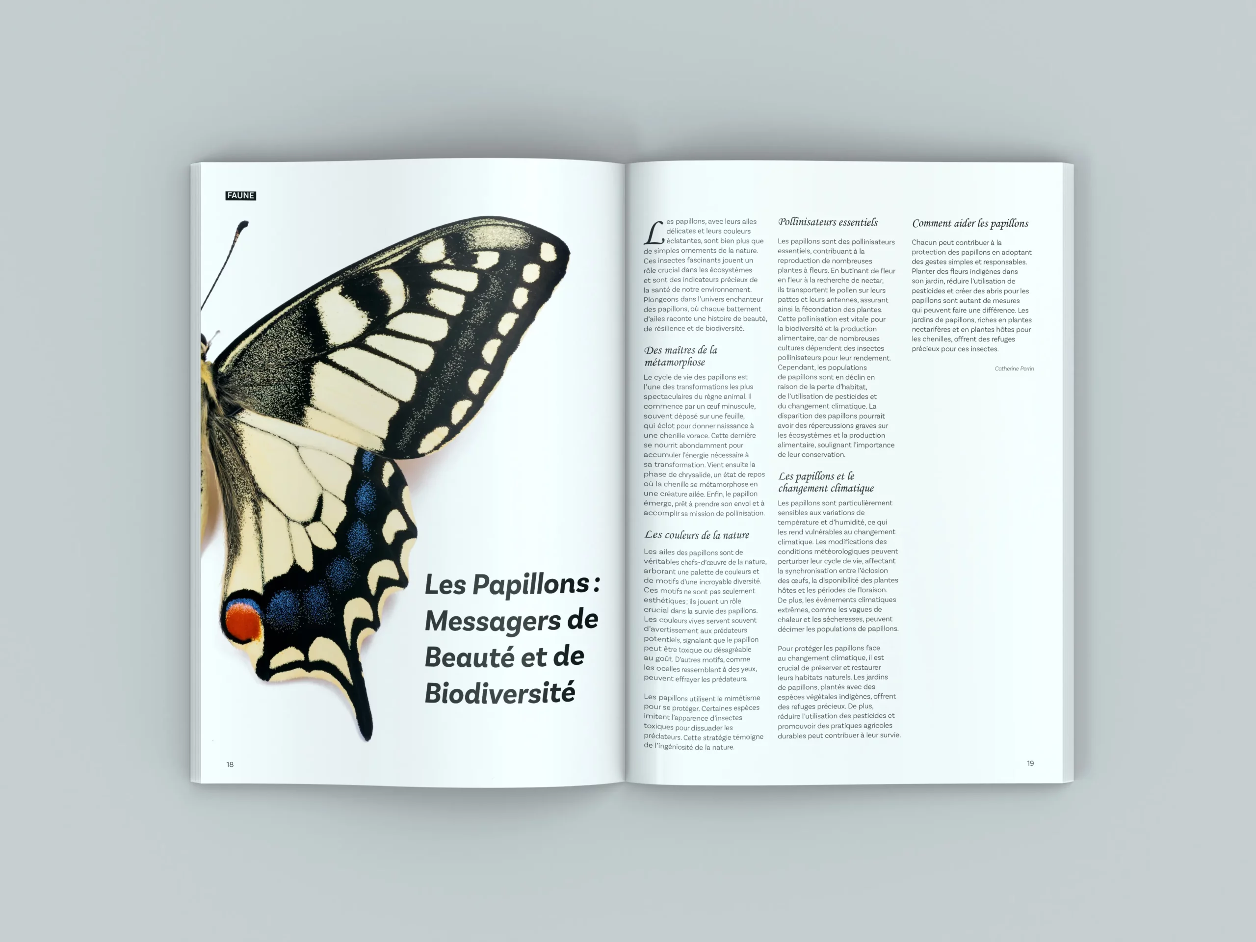 Magazine terre sauvage papillons